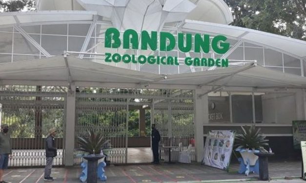 Bandung Zoo Masih Tutup Sejak Agustus
