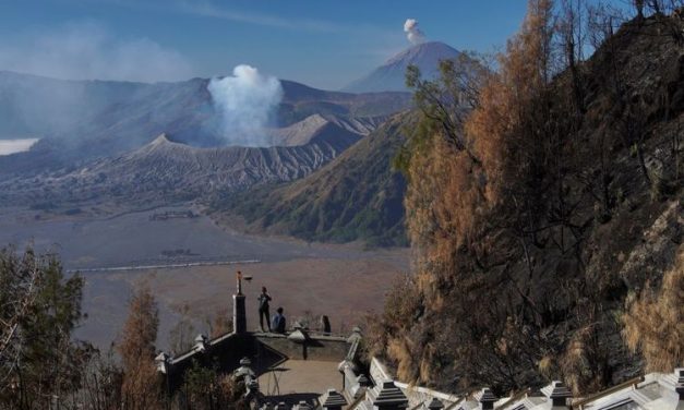 Commuter Line Surabaya Probolinggo Akan Ada Sebelum Lebaran 2026