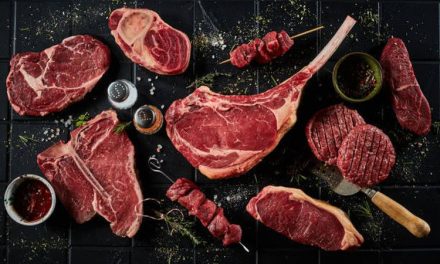 Diet Carnivore Membuat Konten Kreator Masuk Rumah Sakit Karena Batu Ginjal