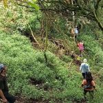 13 Hari Tanpa Hasil, Pencarian Pendaki Di Mongkrang Di Setop