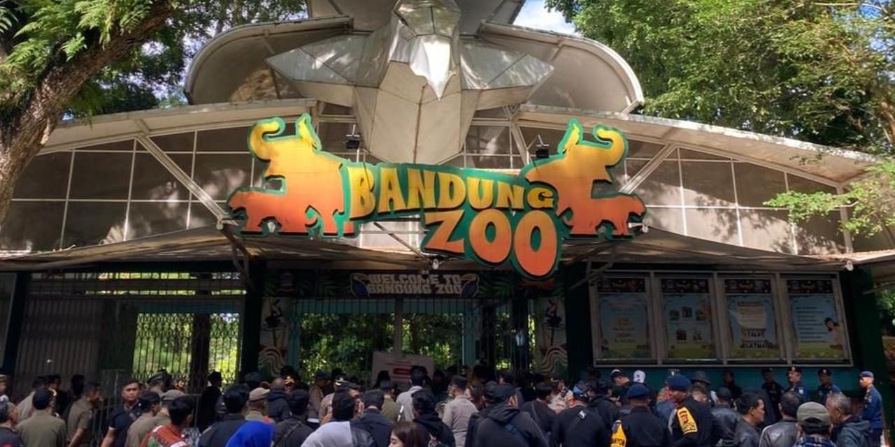 Bandung Zoo Di Awasi Ketat: Kemenhut Tak Mau Main-Main