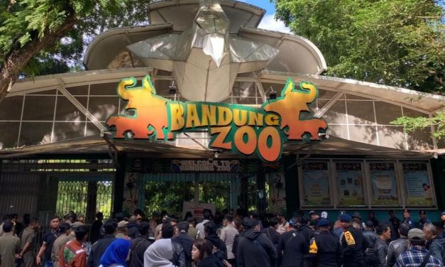Bandung Zoo Di Awasi Ketat: Kemenhut Tak Mau Main-Main