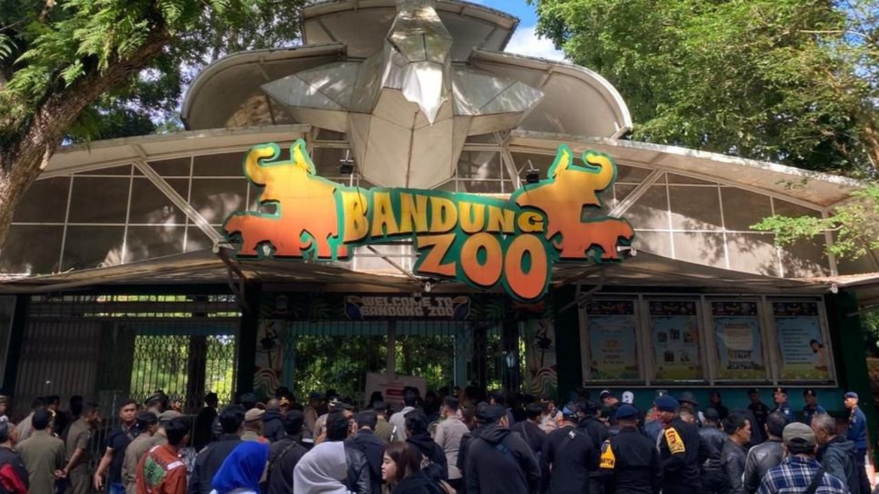 Bandung Zoo Di Awasi Ketat: Kemenhut Tak Mau Main-Main