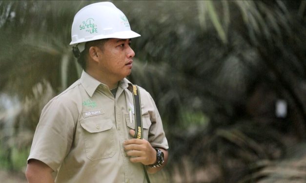 Jalan Pintas Sukses: 3 Profesi Incaran Dari Jurusan Perkebunan