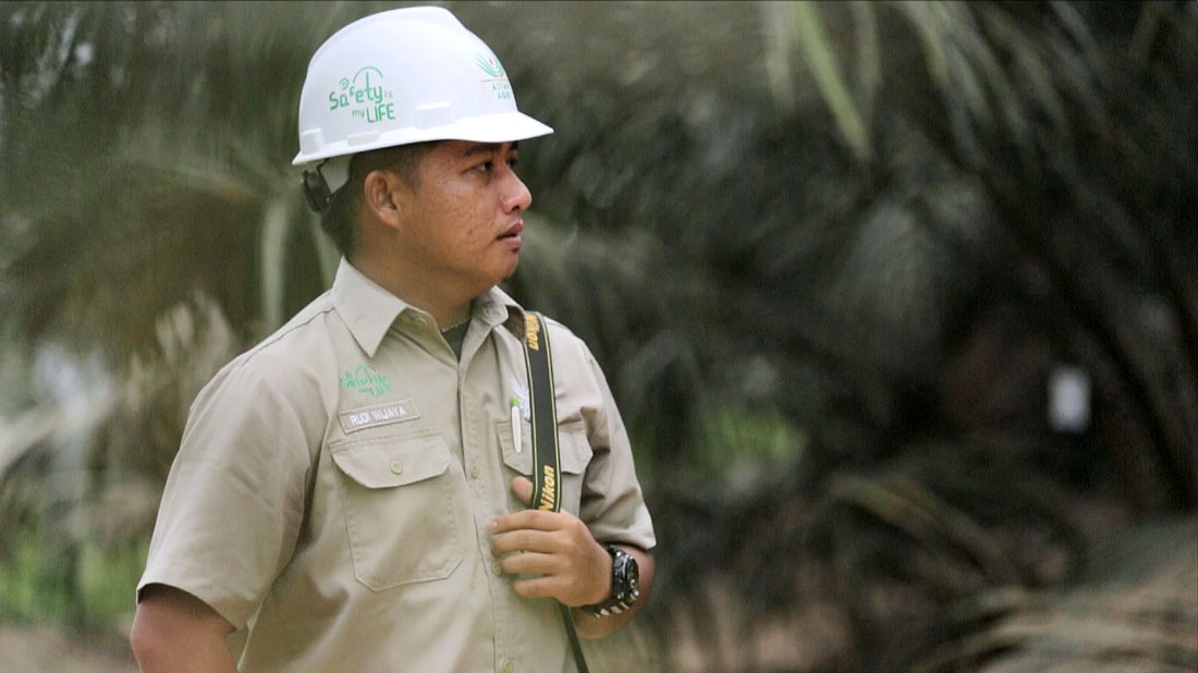 Jalan Pintas Sukses: 3 Profesi Incaran Dari Jurusan Perkebunan