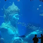 Marine Safari Bali: Cara Asyik Belajar Cintai Laut Nusantara