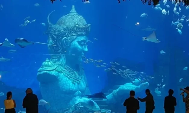 Marine Safari Bali: Cara Asyik Belajar Cintai Laut Nusantara