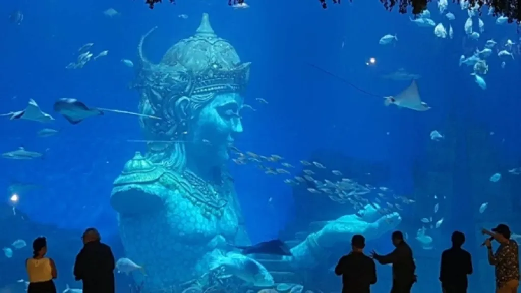 Marine Safari Bali: Cara Asyik Belajar Cintai Laut Nusantara