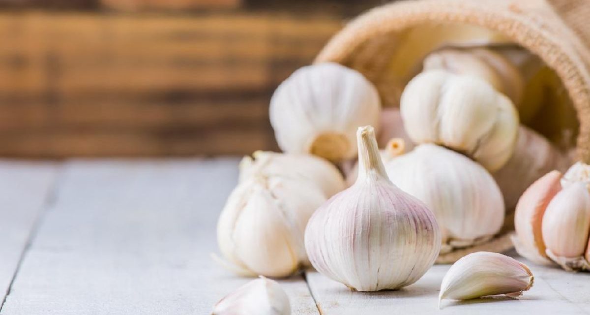 Bawang Putih Jadi Bahan Alami Penunjang Daya Tahan Tubuh