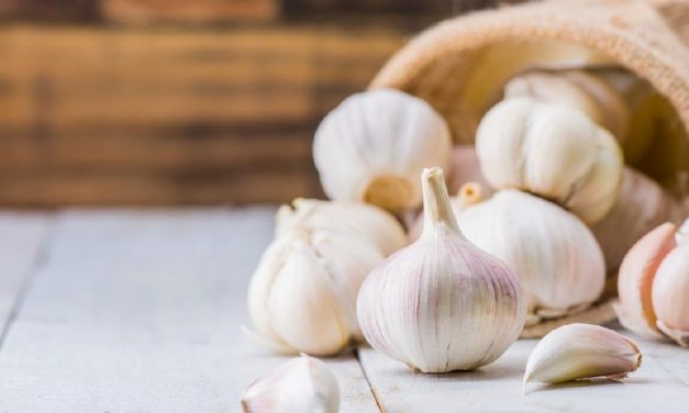 Bawang Putih Jadi Bahan Alami Penunjang Daya Tahan Tubuh