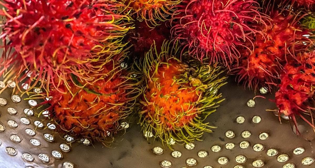 Mengenal Binjai, Rumahnya Rambutan Unggulan