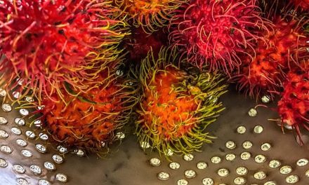 Mengenal Binjai, Rumahnya Rambutan Unggulan