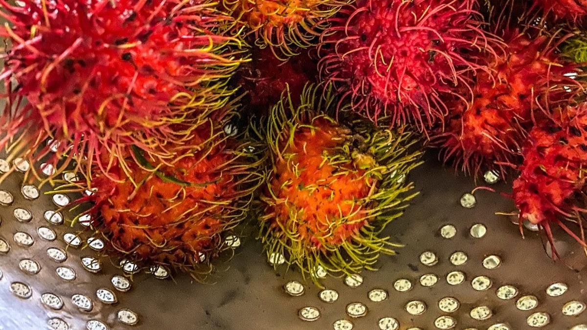 Mengenal Binjai, Rumahnya Rambutan Unggulan